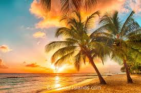 Top Business Card Design Agencies in Barbados