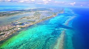 Top Virtual Background Design in Belize