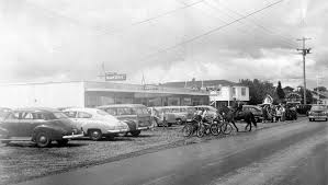 Top and Best Logo Design Services in Keizer, Oregon