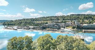 Top and Best Cartoons and Comics Services in Oregon City, Oregon