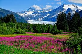 Top or Best Logo Animation Agencies and Companies in Juneau, Alaska