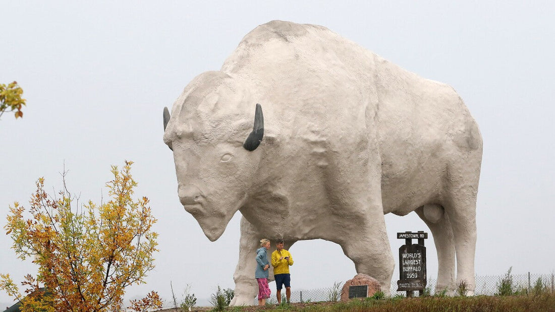 Top or Best YouTube Management Agencies and Companies in Jamestown, North Dakota