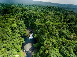 Top Direct Mail Design in Equatorial Guinea