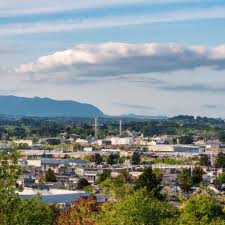 Top and Best Logo Animation Services in Keizer, Oregon