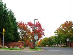 Top and Best X (Twitter) Management Services in Bethany, Oregon