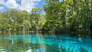 Top Brand Identity Package Agencies in Florida