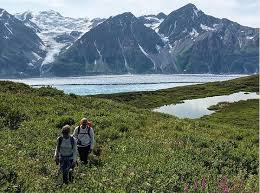 Top or Best Animation and Motion Graphics Design Agencies and Companies in Knik-Fairview, Alaska
