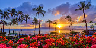 Top or Best Brand Identity Package Agencies and Companies in Honolulu, Hawaii