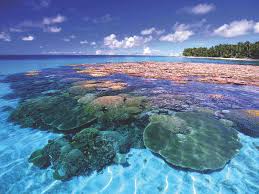 Top Logo Design Agencies in the Marshall Islands