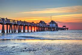Top Drawing and Illustration Agencies in Florida
