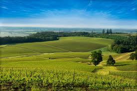 Top and Best Graphic Design Services in McMinnville, Oregon