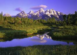 Top Social Media Management Company in the United States of America