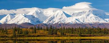 Top or Best Drawing and Illustration Agencies and Companies in Fairbanks, Alaska