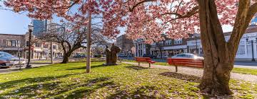 Top or Best Copywriting Design Agencies and Companies in Stamford, Connecticut