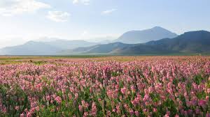 Best LinkedIn Management Companies in Kyrgyzstan