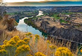Top or Best Brochure Design Agencies and Companies in Twin Falls, Idaho