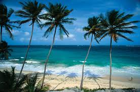 Top Design Agencies in Barbados