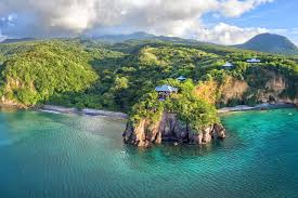 Top NFT Art Agencies in Dominica
