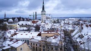 Top Animation & Motion Graphics in Estonia: DolFinContent Leading the Way