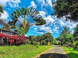 Best LinkedIn Management Companies in Madagascar