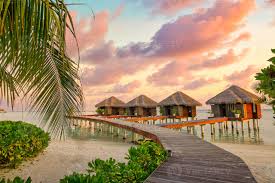 Best LinkedIn Management Companies in Maldives