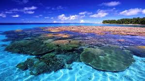 Best LinkedIn Management Companies in Marshall Islands