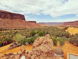 Best LinkedIn Management Companies in Mauritania