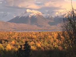 Top or Best Banner Ads Design Agencies and Companies in Knik-Fairview, Alaska