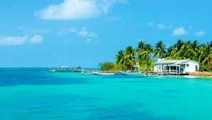 Top Menu Design in Belize