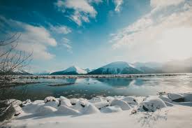 Top or Best Logo Design Agencies and Companies in Knik-Fairview, Alaska