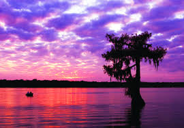 Top Cartoons & Comics Agencies in Louisiana