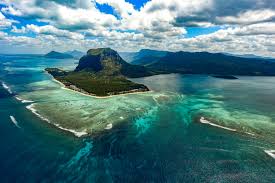 Top 5 Logo Design Agencies in Mauritius: Crafting Iconic Brands