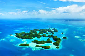 Top 5 Banner Ads Agencies in Palau