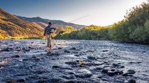 Top and Best TikTok Management Agencies and Companies in Fernley, Nevada