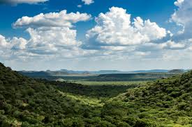 Top 5 Logo Design Agencies in South Sudan: Elevating Your Brand Identity