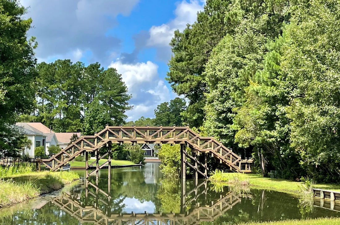 Top or Best TikTok Management Agencies and Companies in Bluffton, South Carolina