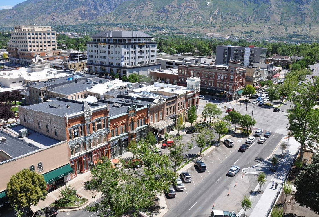 Top and Best Portraits & Caricatures Agencies and Companies in Provo, Utah