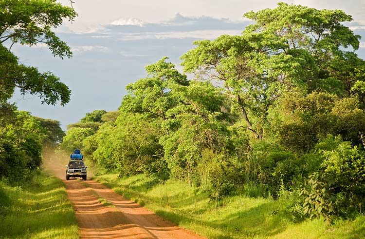 Top or Best Talent Management Agencies and Companies in DR Congo