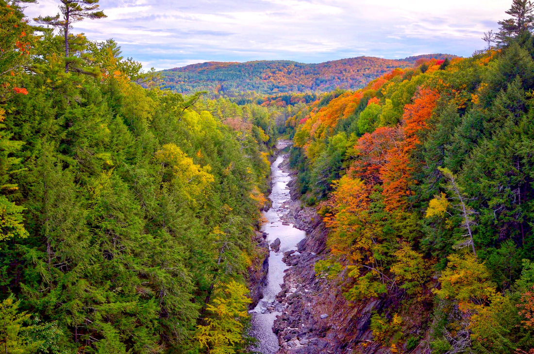 Top or Best Social Media Design Agencies and Companies in Hartford, Vermont