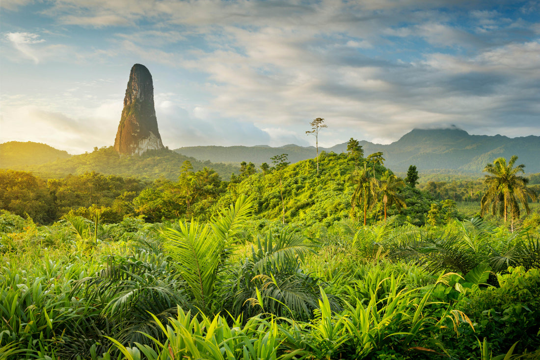 Best YouTube Management Companies in Sao Tome and Principe