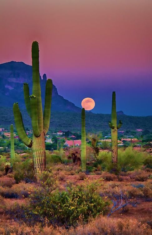 Top or Best Storyboards Agencies and Companies in Phoenix, Arizona
