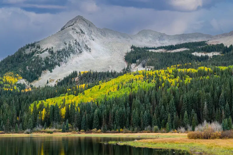 Top or Best Animation and Motion Graphics Agencies and Companies in Centennial, Colorado