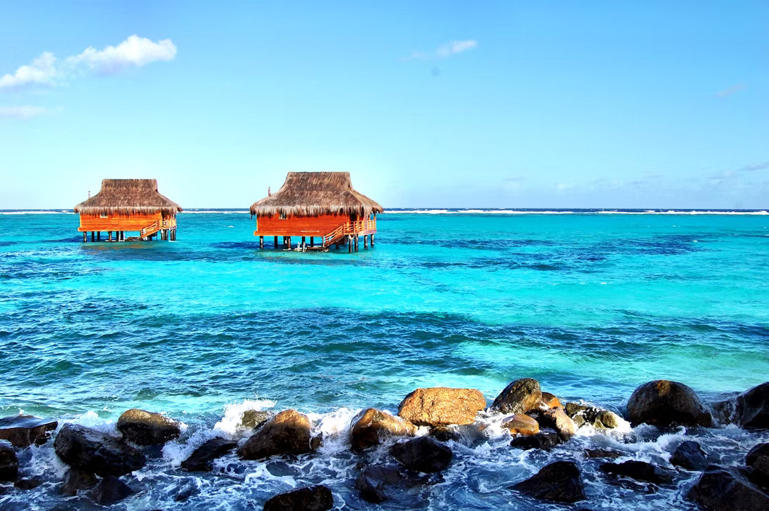 Top or Best Athlete Management Agencies and Companies in St. Vincent and the Grenadines