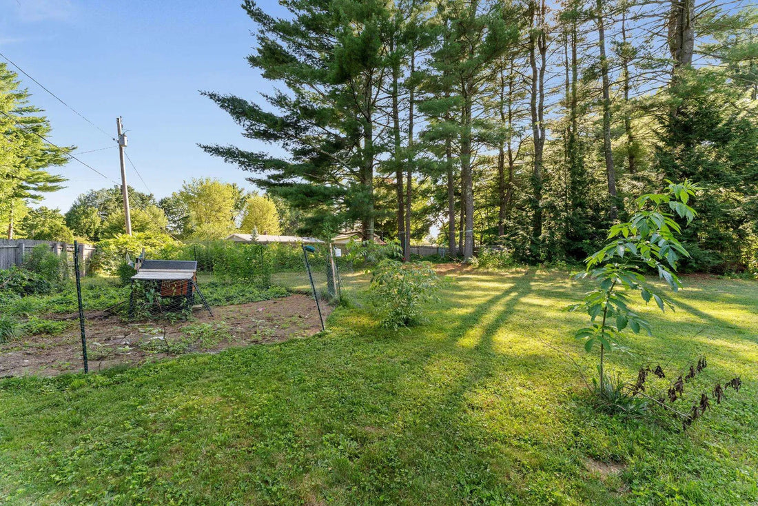 Top or Best Graphics for Streamers Agencies and Companies in Milton, Vermont