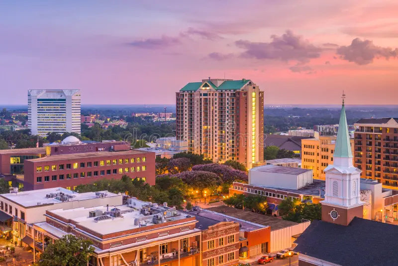 Top or Best Email Campaign Design Agencies and Companies in Tallahassee, Florida