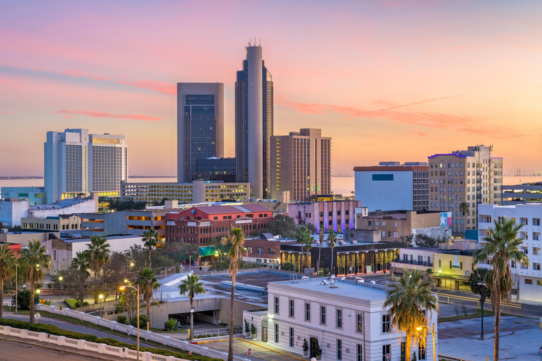 Top or Best NFT Art Agencies and Companies in Corpus Christi, Texas