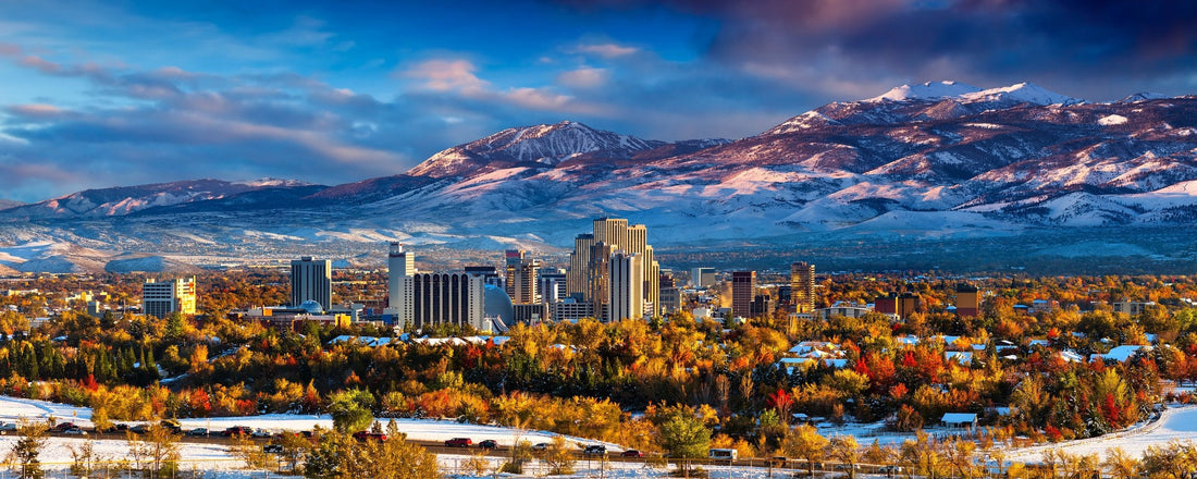 Best or Top Storyboards Agencies and Companies in Reno, Nevada