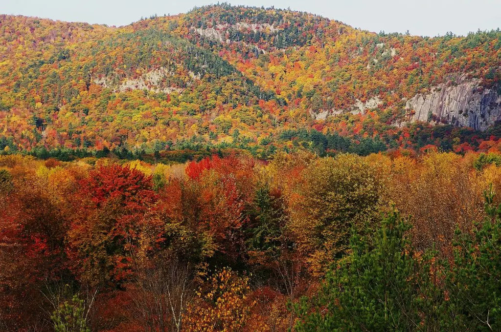 Top or Best Brand Identity Package Agencies and Companies in Bedford, New Hampshire