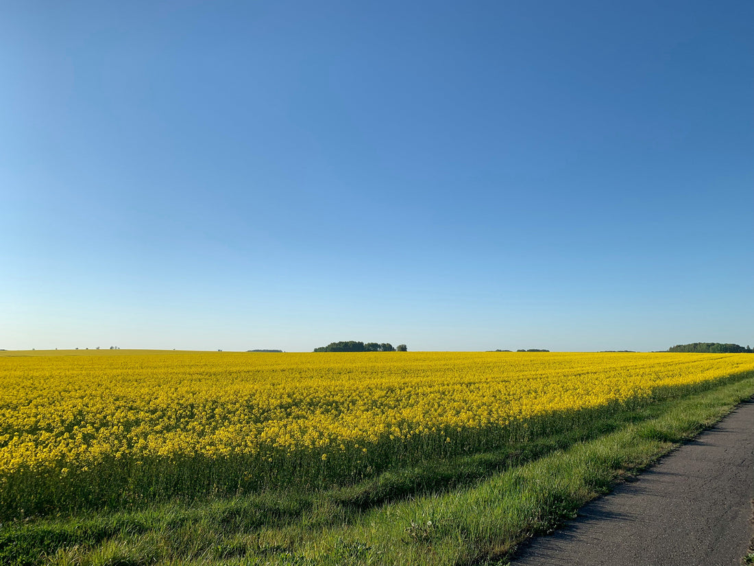 Top or Best Custom Graphics for Videos Agencies and Companies in Emporia, Kansas