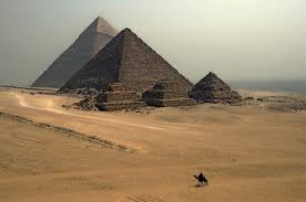 Best Twitch Management Companies in Egypt